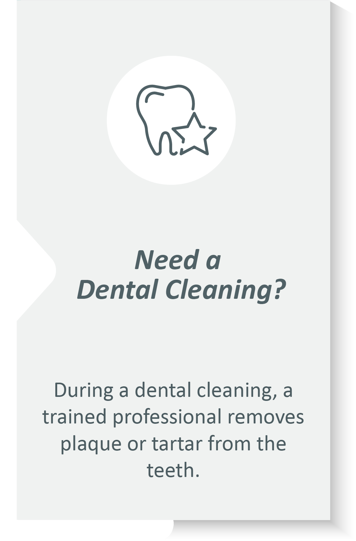 Dental cleaning infographic: During a dental cleaning, a trained professional removes plaque or tartar from the teeth.